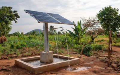 Bomba sumergible con panel solar Franklin Electric: La revolución del bombeo sustentable